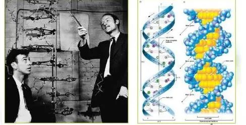 从诺贝尔化学奖又双叒叕颁给生物学家说起 | 清华大学多学科交叉研究组未来生命科学研究员招募中