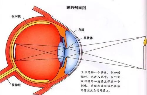 从诺贝尔化学奖又双叒叕颁给生物学家说起 | 清华大学多学科交叉研究组未来生命科学研究员招募中