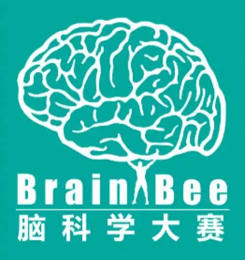 Brain Bee脑科学大赛地区赛圆满落幕！翰林学员再创佳绩，获奖率超60%！