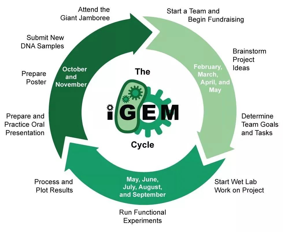 2022 iGEM国际基因工程机器大赛新赛季，组队进行中