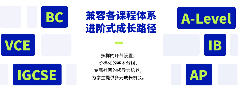 倒计时7天！NEC报名即将截止，七宝德怀特/深国交学霸在等你！