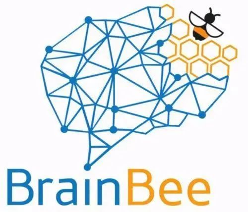 Brain Bee国际脑神经大赛是什么？