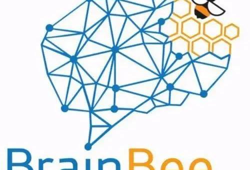 国际脑科学Brain Bee大赛是什么？