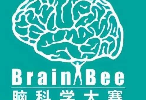 2022年Brain Bee脑科学活动报名时间