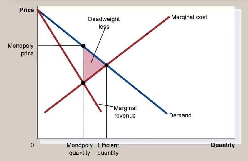 AP微观经济学知识点：Monopoly垄断市场