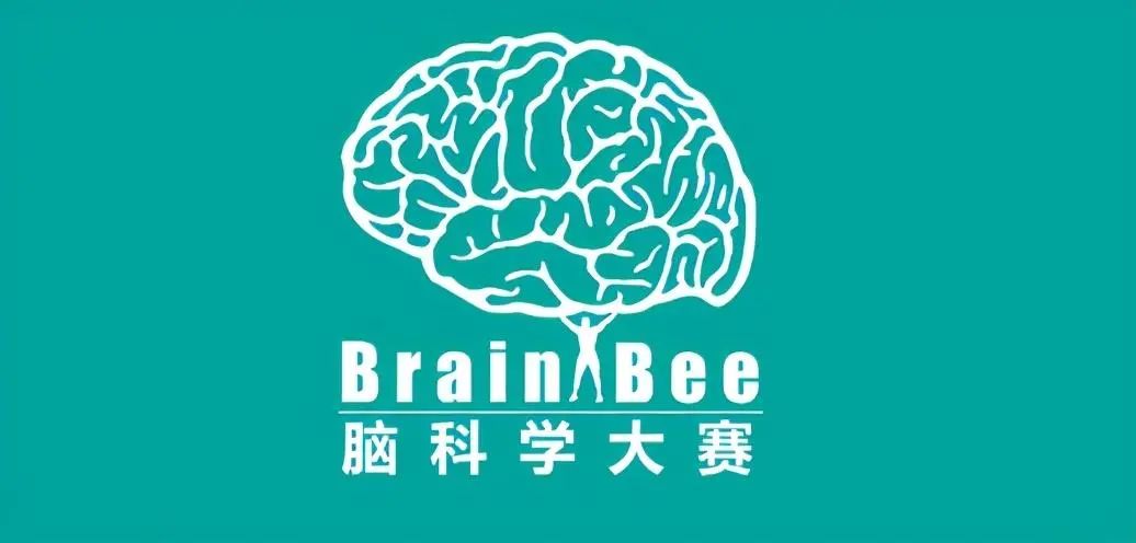 2022 Brain Bee脑科学活动报名开启，零基础也能学的高质量竞赛～