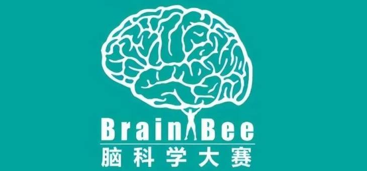 2022年Brain Bee脑科学活动火热报名中！生物方向的你不要错过哦