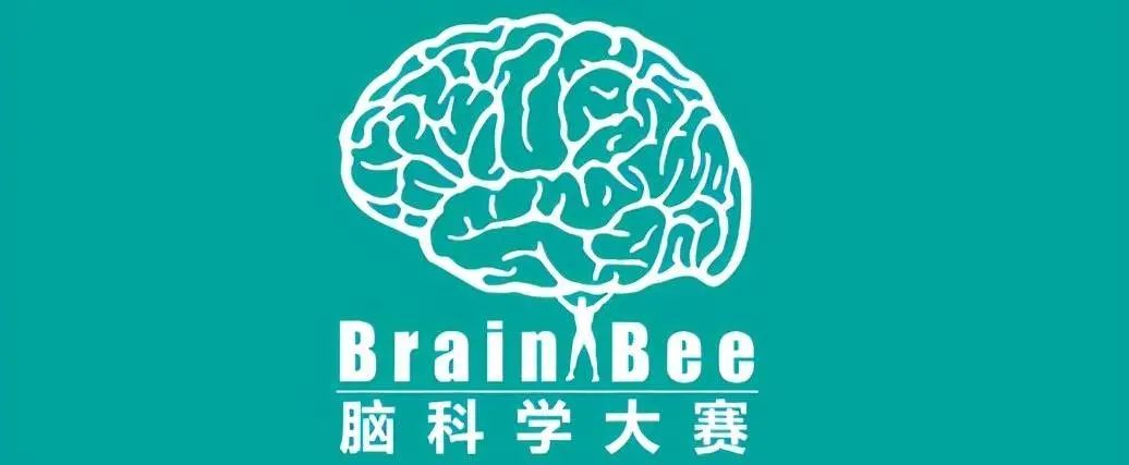 参赛者被“哈耶普斯”录取！2022年Brain Bee脑科学活动来啦！
