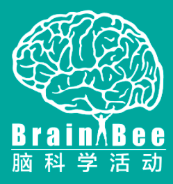 2022brainbee脑科学大赛培训课程启动报名啦！