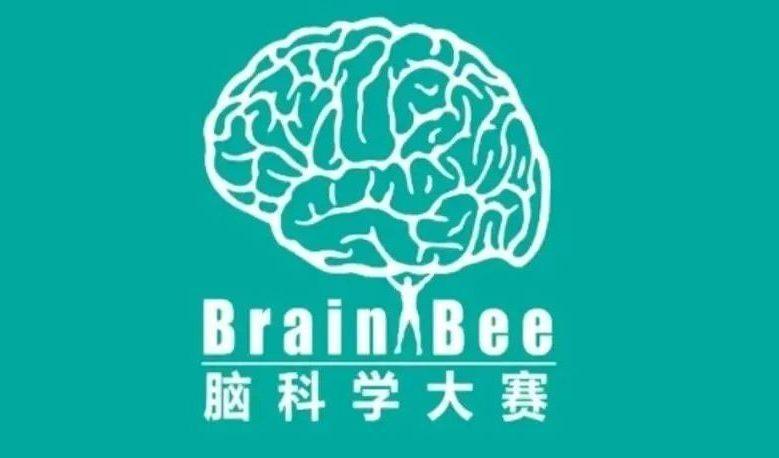 翰林学员专访-从心理学到生物竞赛Brainbee脑科学大赛奖项收获剑桥offer