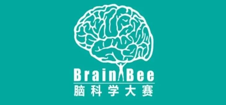 2023年Brain Bee脑科学大赛报名开启！