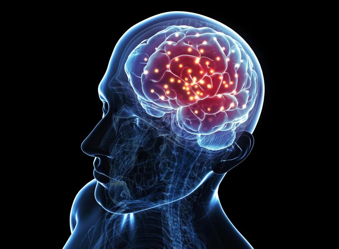 【BrainBee】|牛剑、藤校生物系通行证！脑科学知名期刊Neuron杂志力荐的黄金学术活动