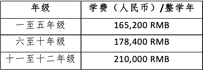 深外湾区学校入学考试考什么？