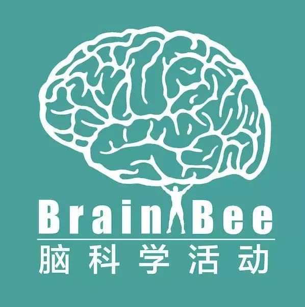 Brain Bee报名倒计时！解锁脑科学研究新技能，零基础也能轻松入坑！