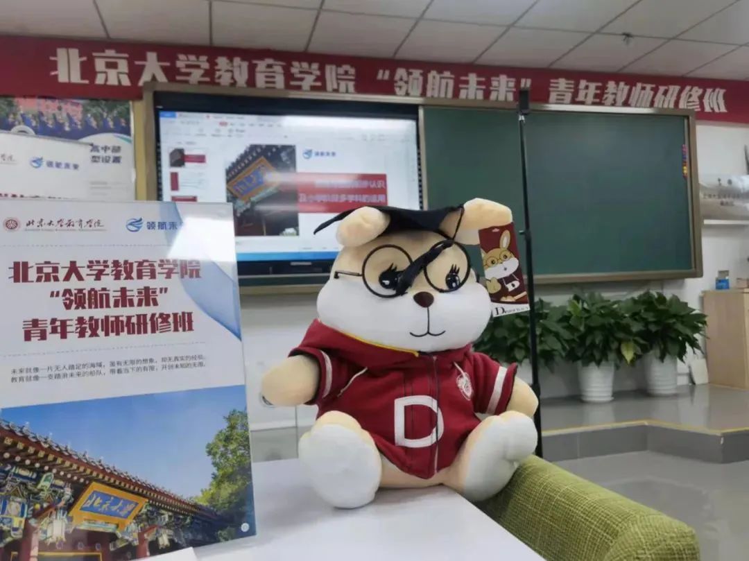 北京大学教育学院国际化学校“领航未来”青年教师研修班（第二期）报名正式启动