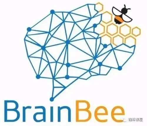 BrainBee大奖揭晓！恭喜包揽全国赛一、二、三等奖的20名翰林学员载誉而归！