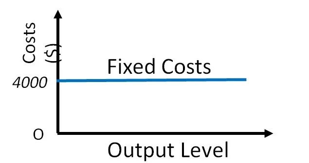 IGCSE经济知识点精讲：Fixed and variable cost