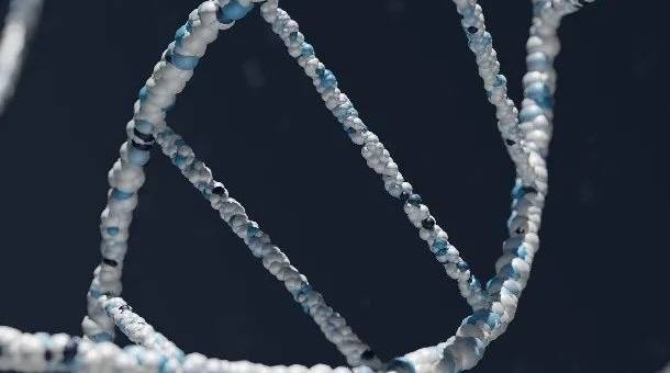 生物学科研竞赛课题推荐，探索生命与基因的奥秘