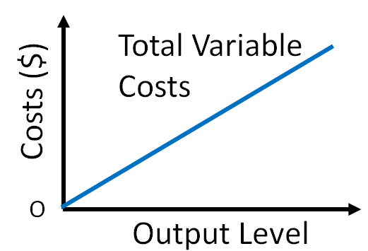 IGCSE经济知识点精讲：Fixed and variable cost