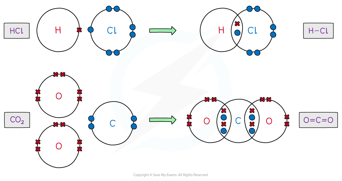1.3-Chemical-Bonding-Covalent-Dot-Cross-2-1