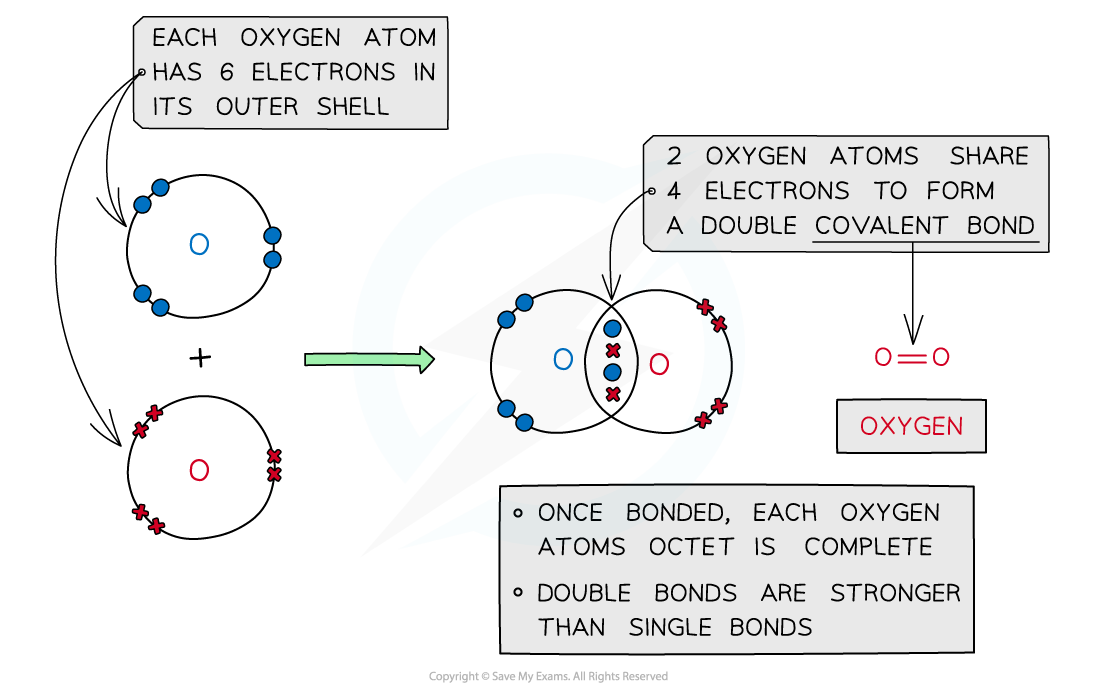 1.3-Chemical-Bonding-Double-Covalent-Bonding-Oxygen