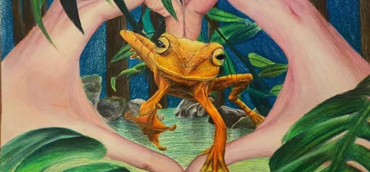 拯救青蛙！全球艺术竞赛：国际参赛作品欣赏