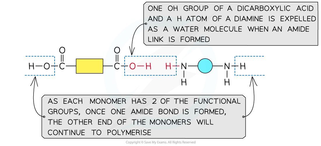 7.7-Polymerisation-Making-an-Amide-Link