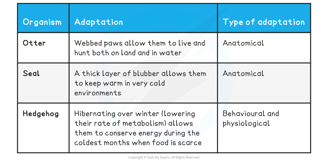 Adaptations-to-abiotic-conditions