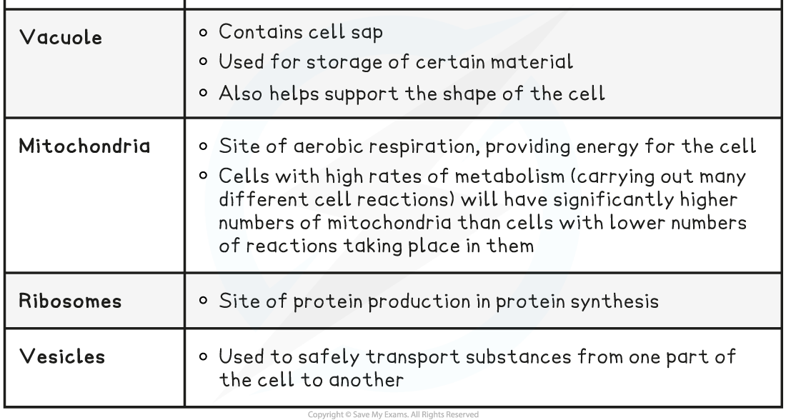 Cell-Structures-Table-2