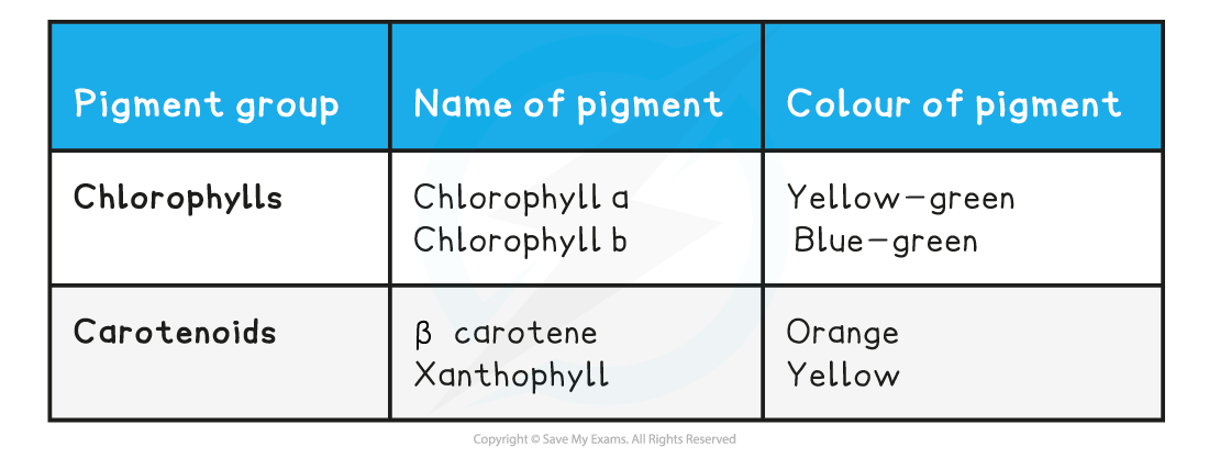 Chloroplast-Pigments-Table