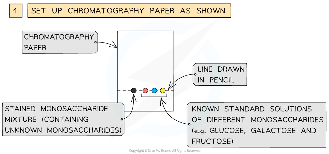 Chromatography-of-monosaccharides-1