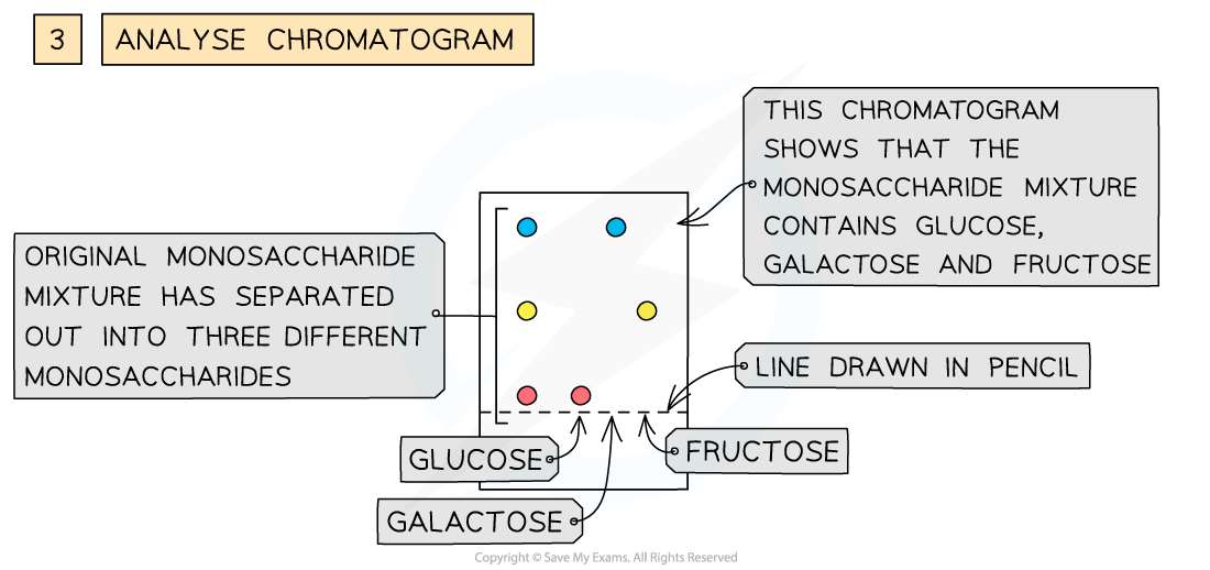 Chromatography-of-monosaccharides-3
