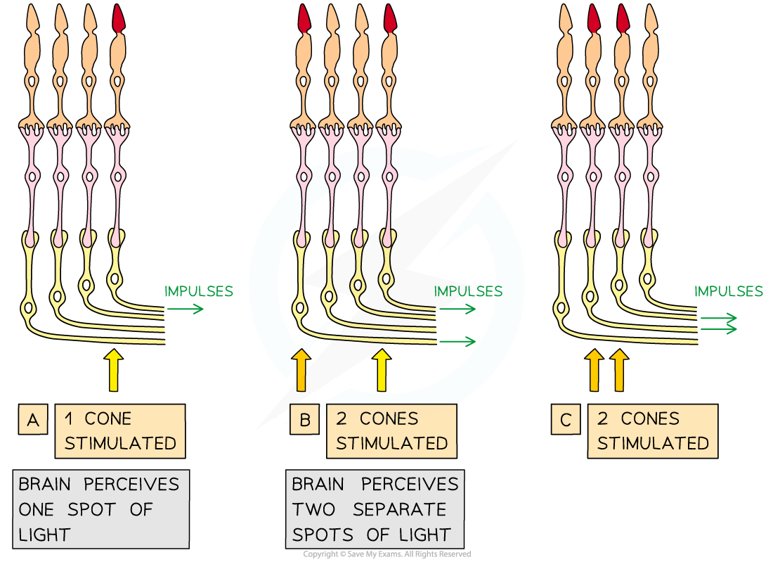 Cone-impulses