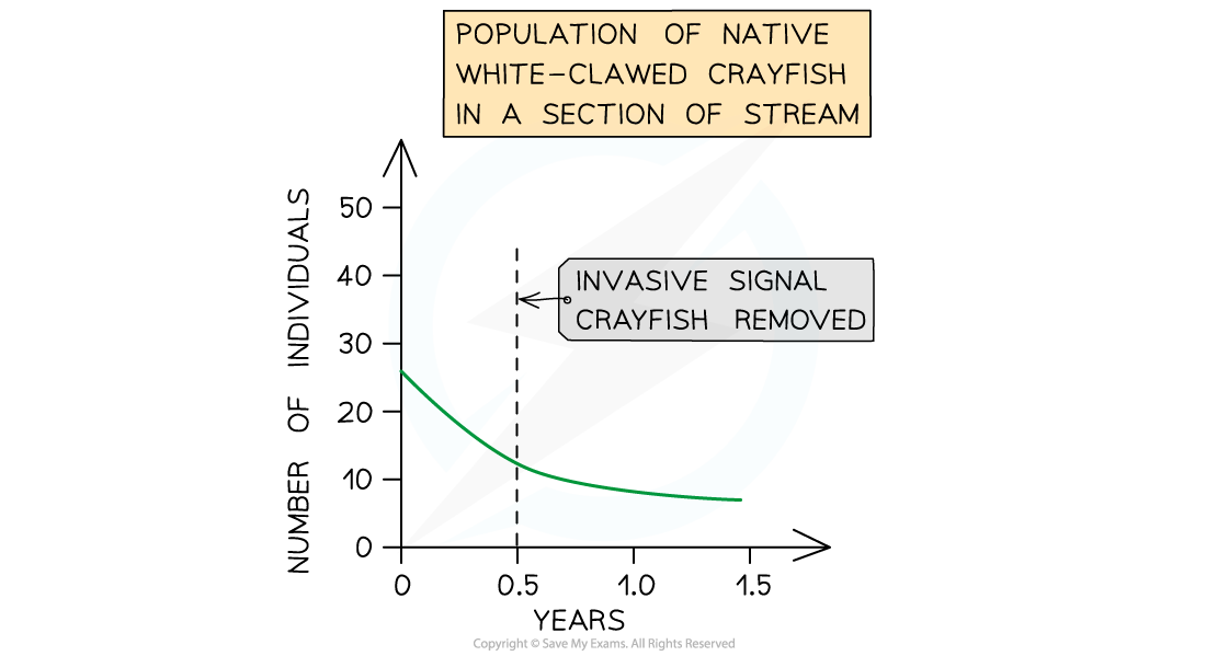 Crayfish-experiment-1-1