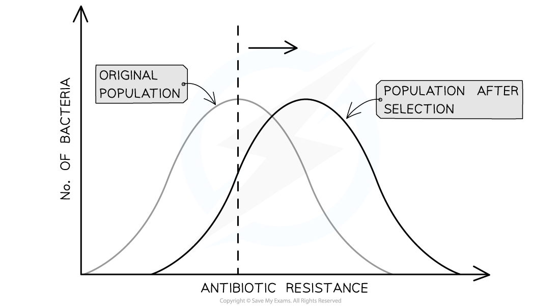 Directional-selection-antibiotic-resistance