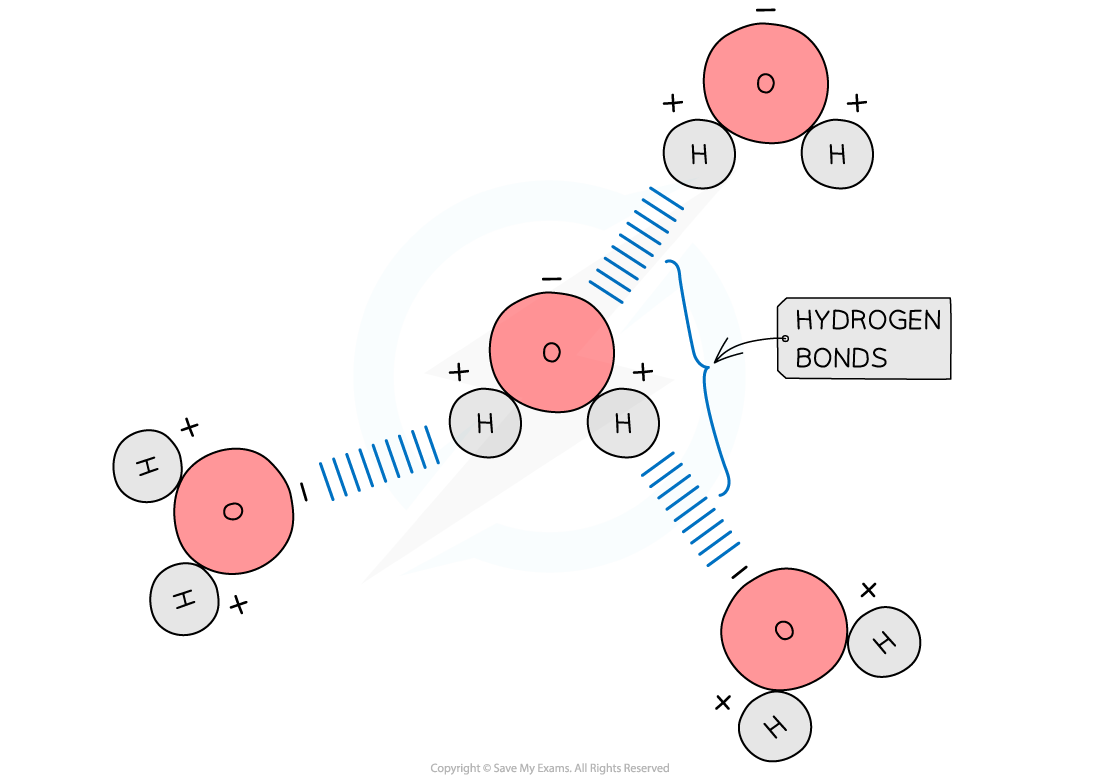Hydrogen-bonds-between-water-molecules