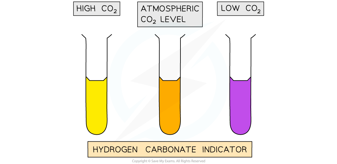 Hydrogencarbonate-indicator