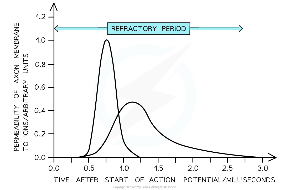 Impulse-frequency-worked-example
