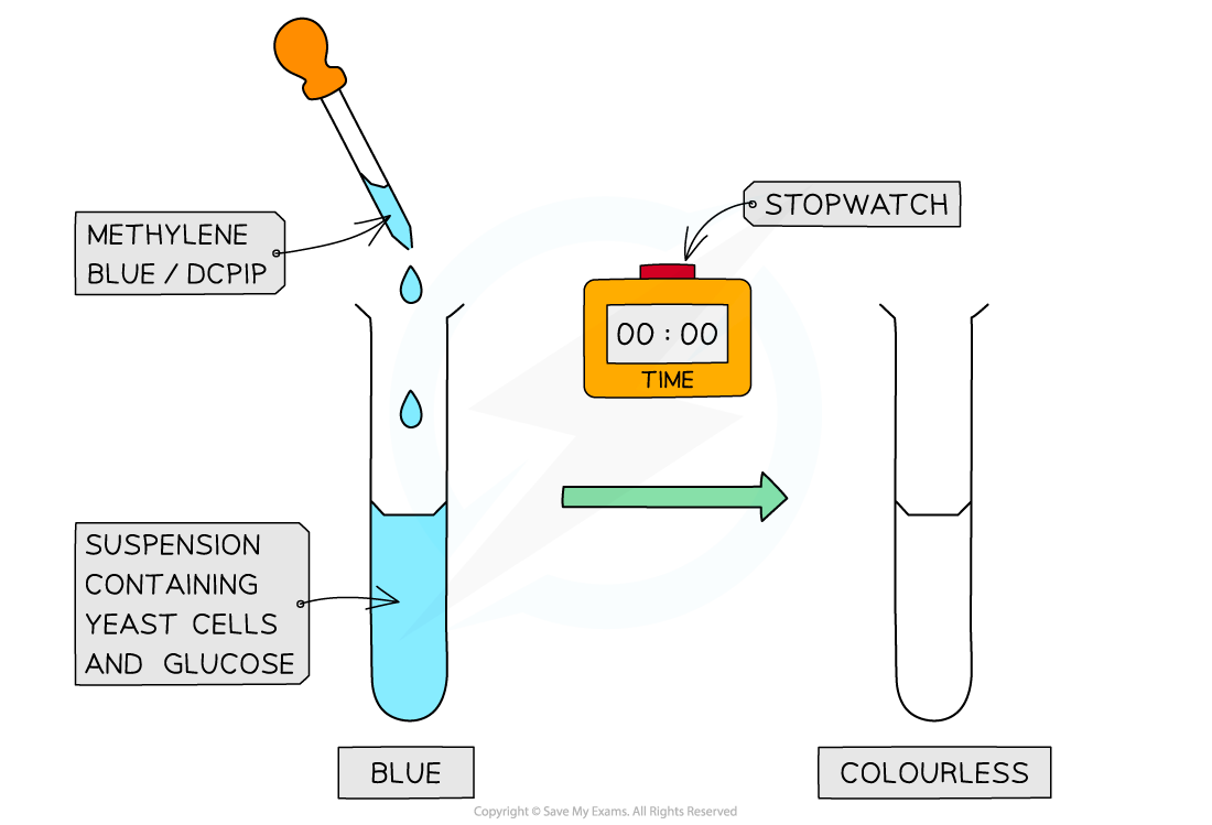 Methylene-blue-colour-change