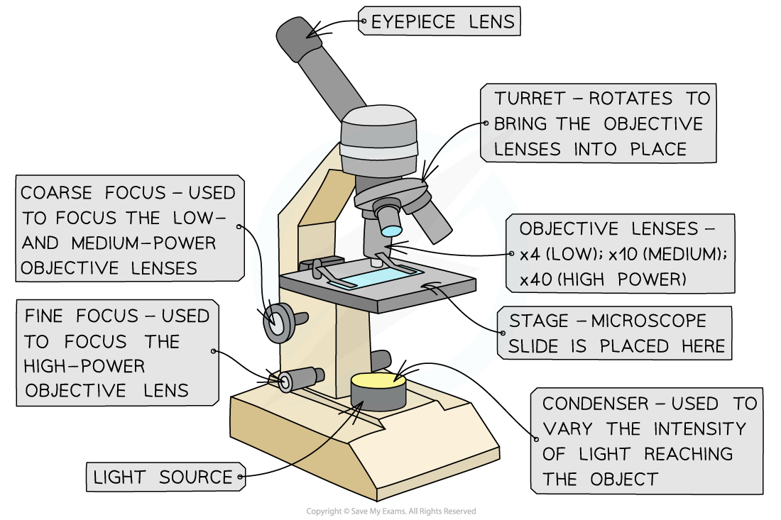 Optical-microscope