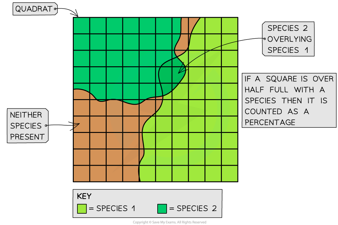 Percentage-Cover-in-Quadrat