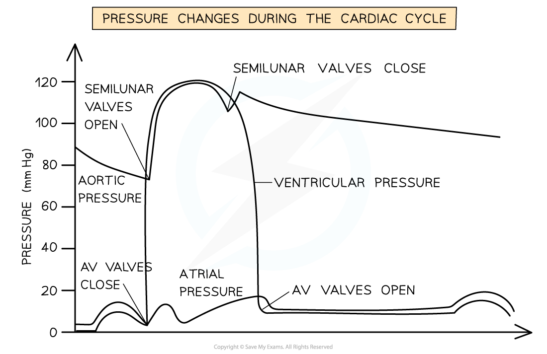 Pressure-Changes-in-the-Cardiac-Cycle