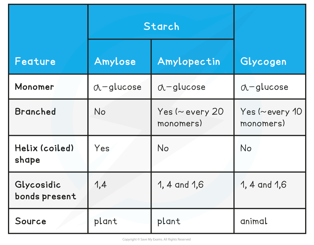 Summary-of-storage-polysaccharides-table