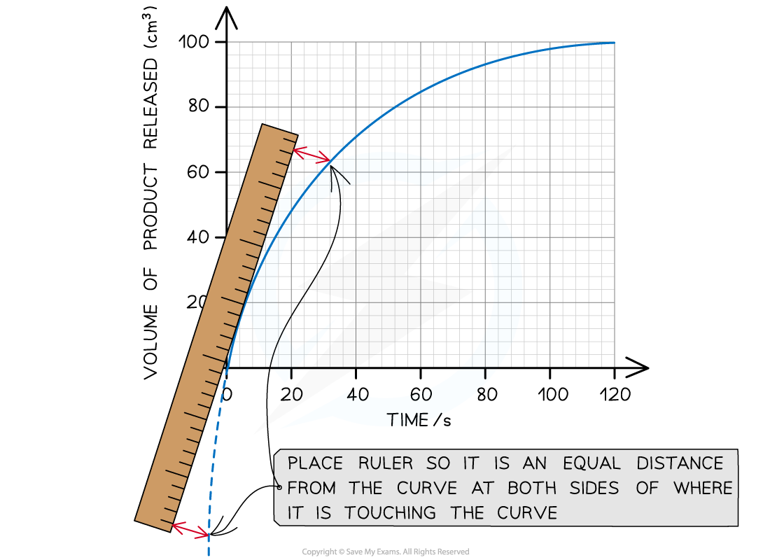 AQA A Level Biology 1 4 6 Maths Skill Using A Tangent To Find 