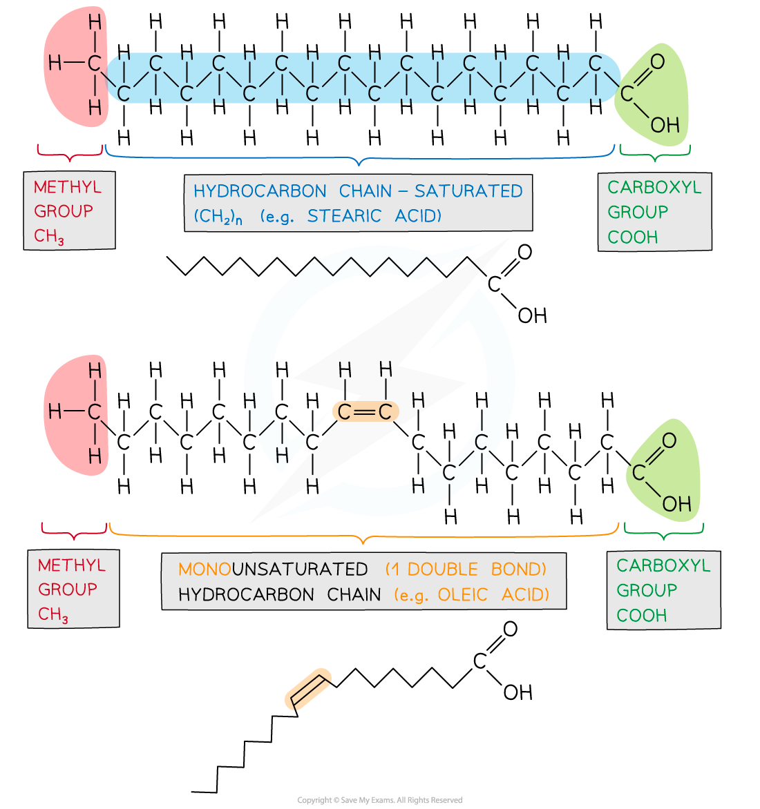 Triglycerides_Basics-types-of-fatty-acids-1