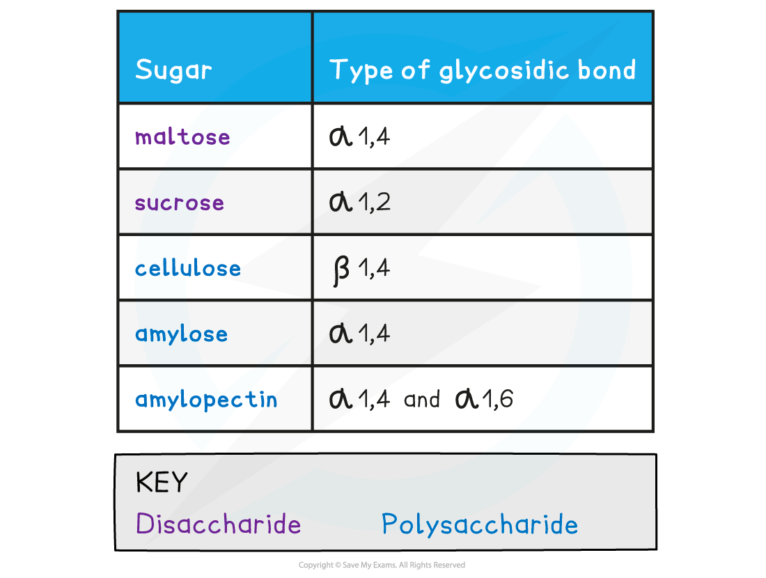 Types-of-glycosidic-bonds-table