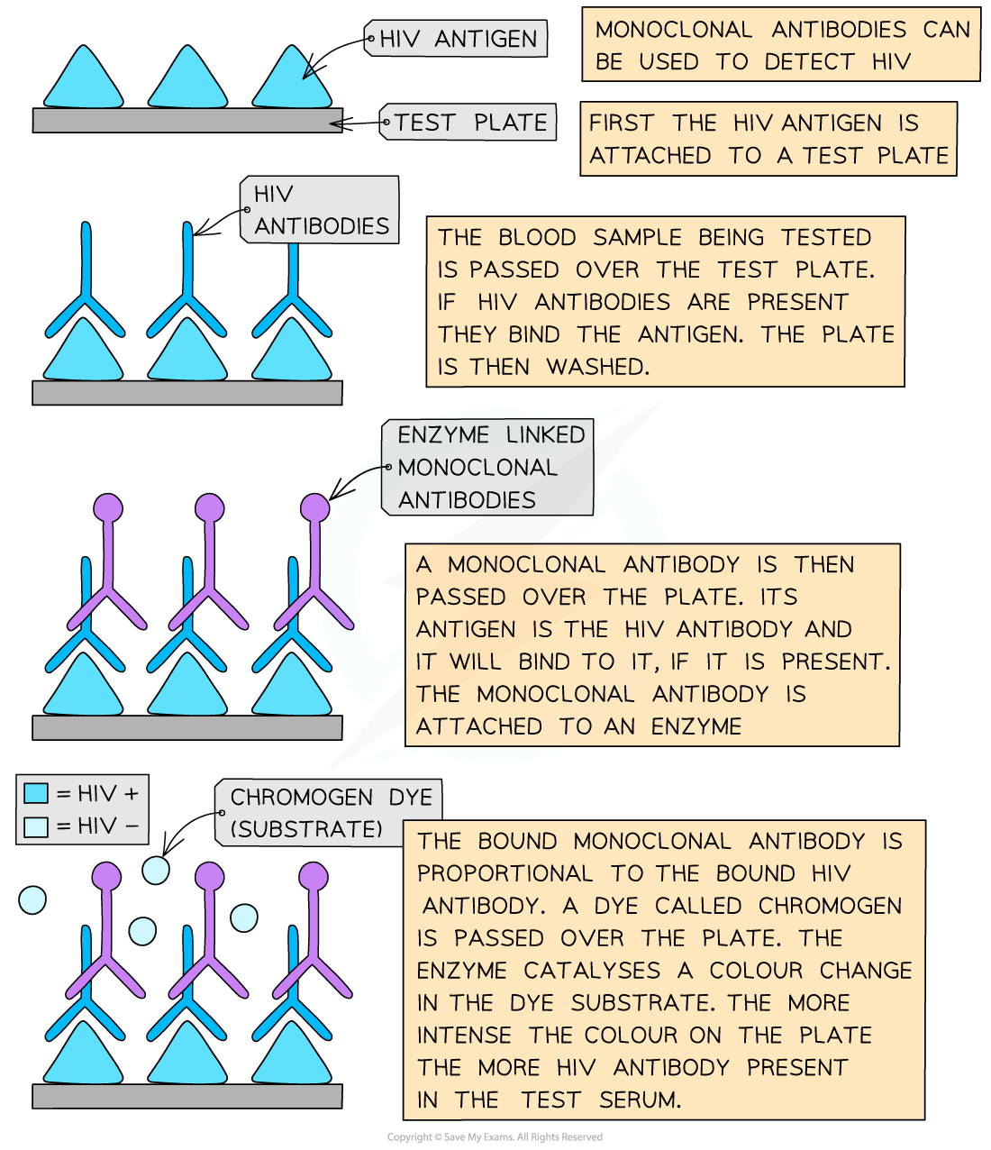 Use-of-Monoclonal-Antibodies