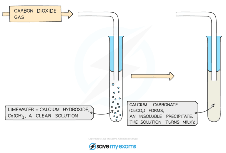 Using-Limewater-to-test-for-Carbon-Dioxide_watermark-768x521-1