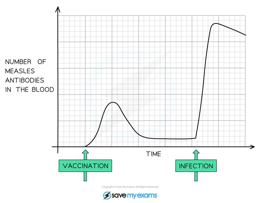 Vaccination-graph