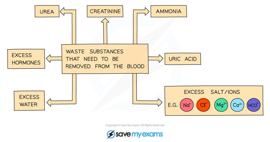 Waste-substances_1